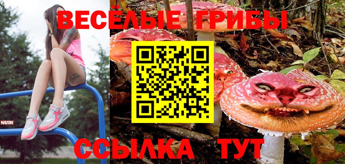 Галлюциногенные грибы мицелий Ростов Великий