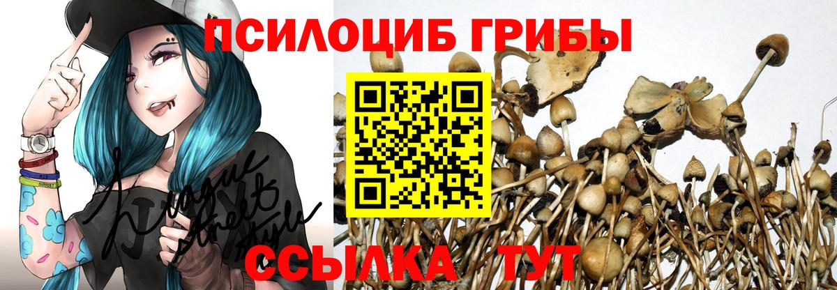 Псилоцибиновые грибы Cubensis  где продают   Ростов Великий  Галлюциногенные грибы GOLDEN TEACHER  Вход с VPN 